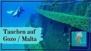 Tauchen auf der Insel GOZO in Malta - Top 5 Divespots inkl. Wracktauchen