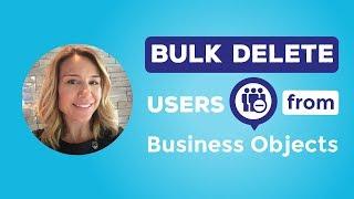 Bulk Delete Users from Business Objects