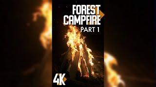 3HRS of Relaxing Forest Campfires for Tablets & Phones - 4K Vertical Screen Video + Fire Sound #1