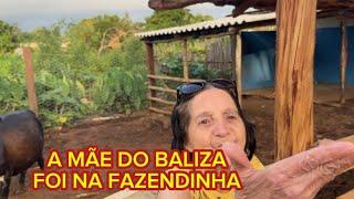 BALIZA LEVOU A MÃE PRA VER OS ANIMAIS DA FAZENDINHA