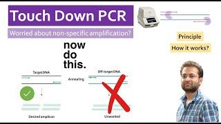 How Touch down PCR works? PCR problem. Non-specific amplification.