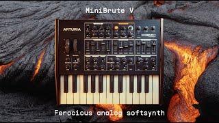MiniBrute V | Ferocious Analog Softsynth | ARTURIA