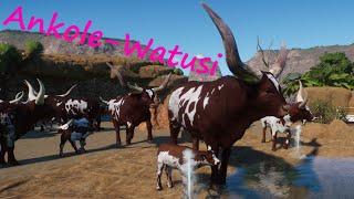 Ankole-Watusi by Bubblywums and LeafProductions - Planet Zoo Mod