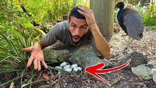 I CAN'T BELIEVE We FOUND THIS?!