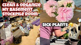 MESSY BASEMENT! Cleaning up & organizing my couponing stockpile/ Thrips got my plants ‍️