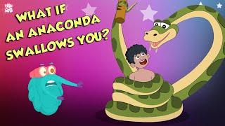 What If An Anaconda Swallows You? | Swallowed By An Anaconda | Dr Binocs Show | Peekaboo Kidz