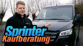 Mercedes Benz Sprinter Kaufberatung | Alex Allround Service