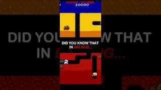 DID YOU KNOW THAT IN DIG DUG... #shorts