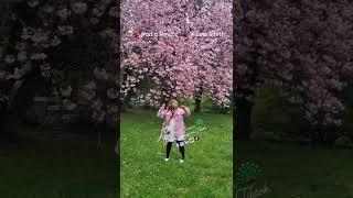 Wait a Minute dance Cherry Blossom Tree #dance #makcetarjerman #feedshorts #feedyoutube