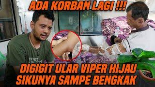 PANJI PETUALANG TOLONG BAPAK KORBAN GIGITAN ULAR VIPER EKOR MERAH!!