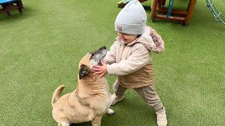 Baby Tries To Kiss a Stray Dog! So Adorable!