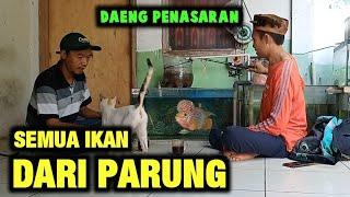 SEMUA IKAN DARI PASAR IKAN HIAS PARUNG || DAENG PENASARAN GEDENYA