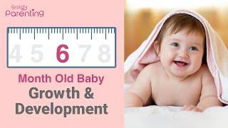 Your 6 Month Old Baby Growth and Development - Milestones, Activities & Baby Care Tips