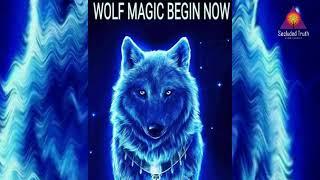 Wolf Magic Begin Now Manifestation Chanting|| Call in the Wolf Spirit to manifest almost anything