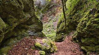 Wanderung durch das Bärental und auf der Albwassertour