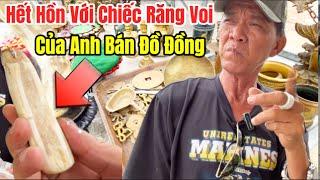 Thì Ra Đây Là Răng Của Con Voi 