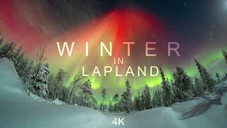 A WINTER IN LAPLAND 4K - an aurora timelapse adventure