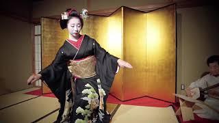 Maiko Chikaharu dances "Kurokami" 舞妓 千賀遥「黒髪」を舞う