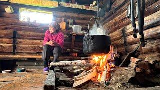 Live Alone in the Middle Wild Forest Taiga  Far From Civilization In Russia
