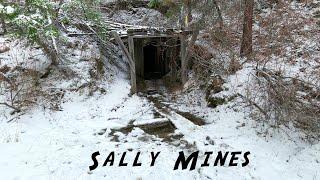 Exploring Sally Mines at Beaverdell (BC, Boundary)