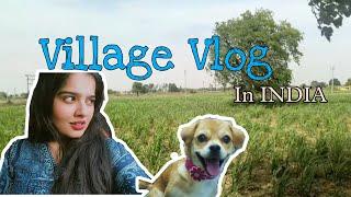 A day in VILLAGE  || Hum kho gye || Being Ananya