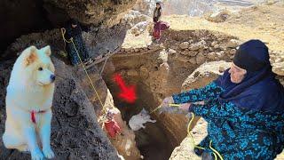 Grandma's miracle in an ancient cave: saving a dog from a deep well