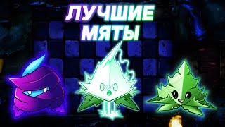 Топ Мят в Plants Vs Zombies 2