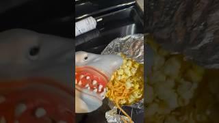 HOW TO MAKE CHEESY POPCORN W SHARK PUPPET