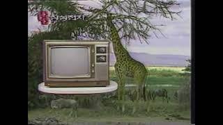 Samsung Econo Tv Commercial (1984)