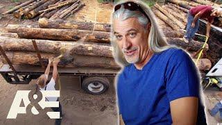 Good Guy Roy Delivers Over 18,000 POUNDS Of Logs To Lumber Yard | Shipping Wars | A&E