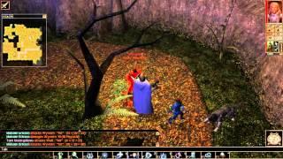 Let's Play Neverwinter Nights #97 The Neverwinter wood