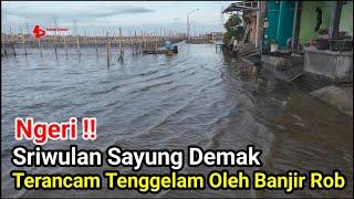 Ngeri‼️Sriwulan Sayung Demak Terancam Tenggelam Oleh Ganasnya Banjir Rob