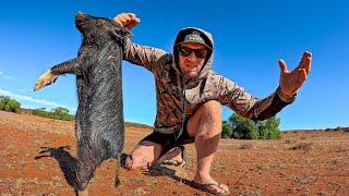 Living Off The Land - Catching Feral Pigs - Shooting, Fishing, Camping, Boating