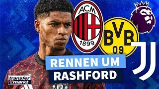 Wohin wechselt Marcus Rashford? 