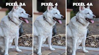 Pixel 3a vs Pixel 4 vs Pixel 4a Camera Comparison