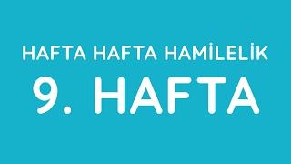 9.Hafta - Hafta Hafta Gebelik - Hamilelik | Anneysen.com