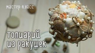 Делаем ТОПИАРИЙ из ракушек своими руками / мастер-класс