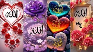 New beautiful Allah name dp| allah dp pic | allah ka photo| allah dp images | #allah #muhammadﷺ #101