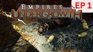 Empires of the Undergrowth EP 1 | Leading My Ants to Victory ! (Ant Colony Sim)