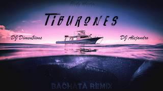 Ricky Martin - Tiburones (Dimen5ions & DJ Alejandro Bachata Remix)