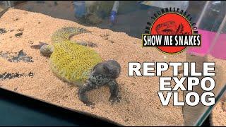 Show Me Snakes & Exotics Expo - February 2020