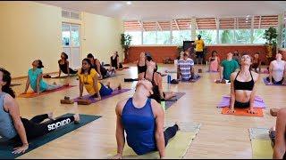 Ashtanga Yoga Primary Series Full Class at Samyak Yoga Mysore