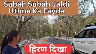 Jungle Me Jaldi Jane Ka Fayada-Rishikesh-Ramjhula-Jankisetu