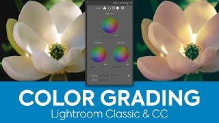 How to Color Grade Photos in Lightroom Classic and Lightroom CC