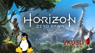 Horizon: Zero Dawn - vkd3d-proton/ProtonGE | Linux Gameplay