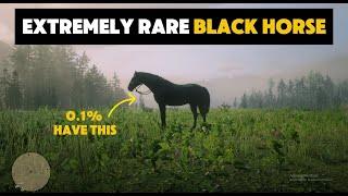 Get Legendary 100% BLACK Horse Locations (Extremely Rare) - RDR2