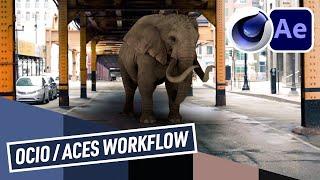 OCIO / ACES workflow in After Effects