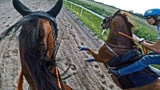 Hear the Hooves singing! | Thoroughbred Head to Head Pov Race | 64,4 Km/H | Eva | Puramente | GoPro