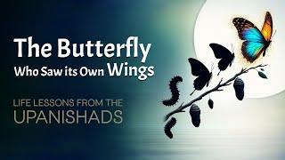 The Butterfly’s Journey: A Profound Story of Growth & Awakening 