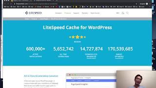 LiteSpeed Cache plugin - best settings for WordPress